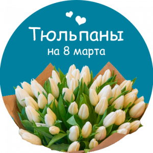 Купить тюльпаны в Оренбурге
